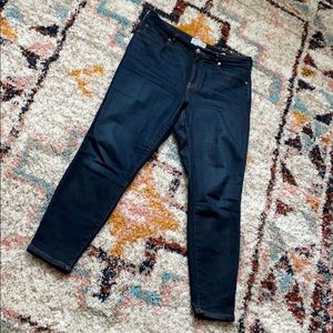 Everlane The Curvy High Rise Skinny Jean